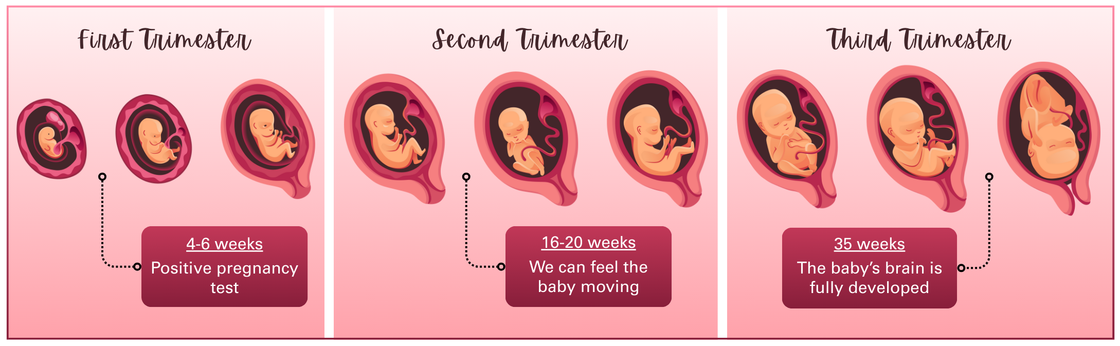 BLOGUE 2026-02  Illustration grossesse_EN
