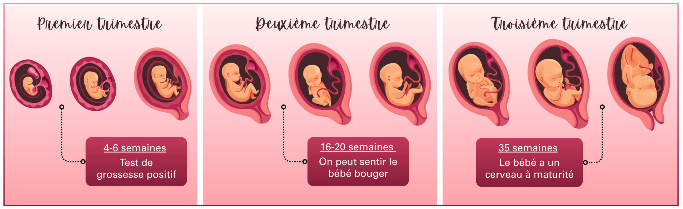 BLOGUE 2026-02  Illustration grossesse_FR